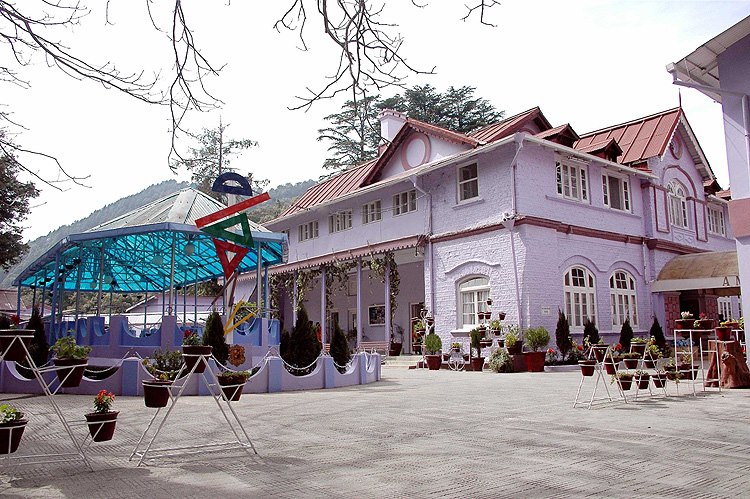 Amtul\'s Public School