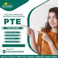 The Sunshine Immigration Consultancy