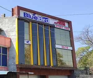 Blue Bird