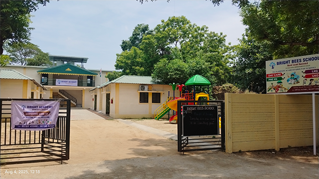 Bright Bees School