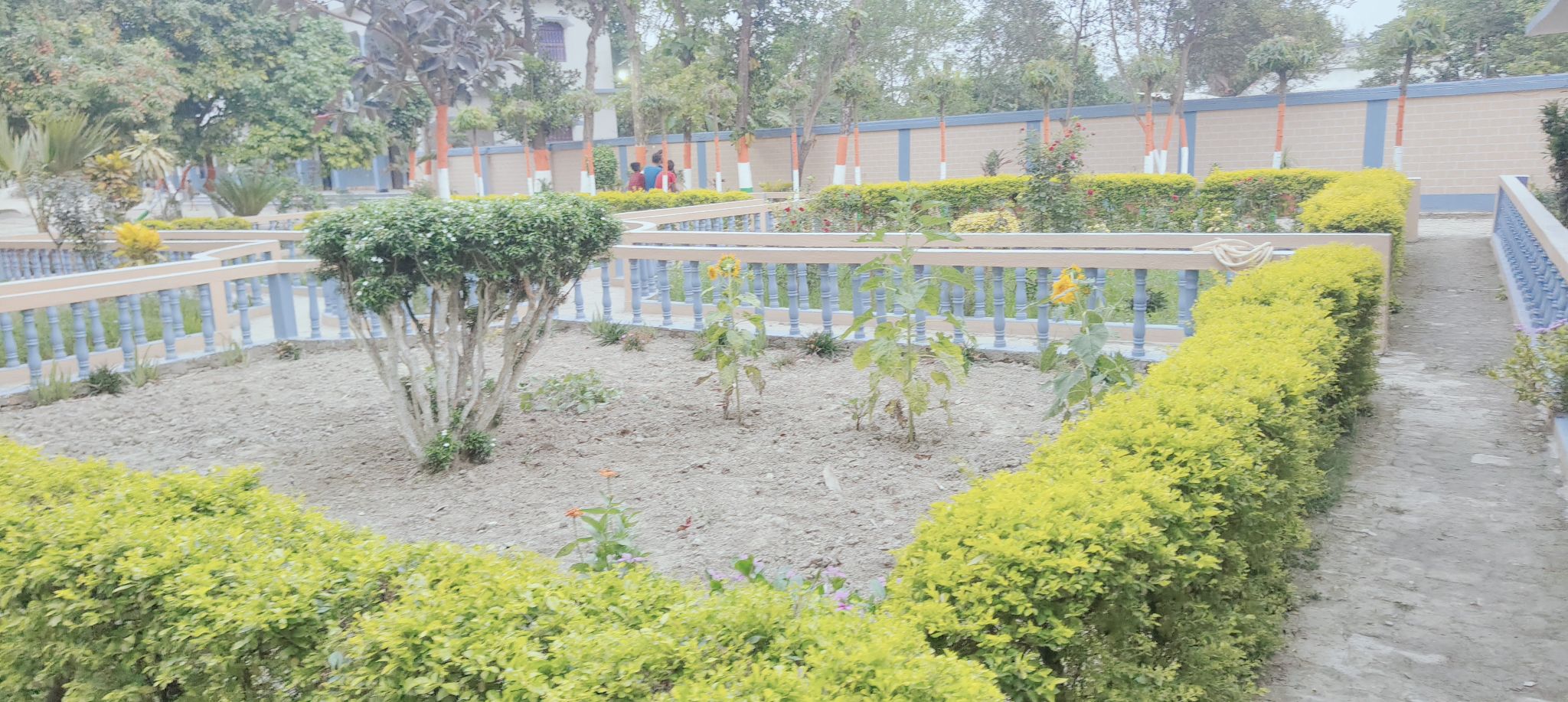 Bright Career Academy