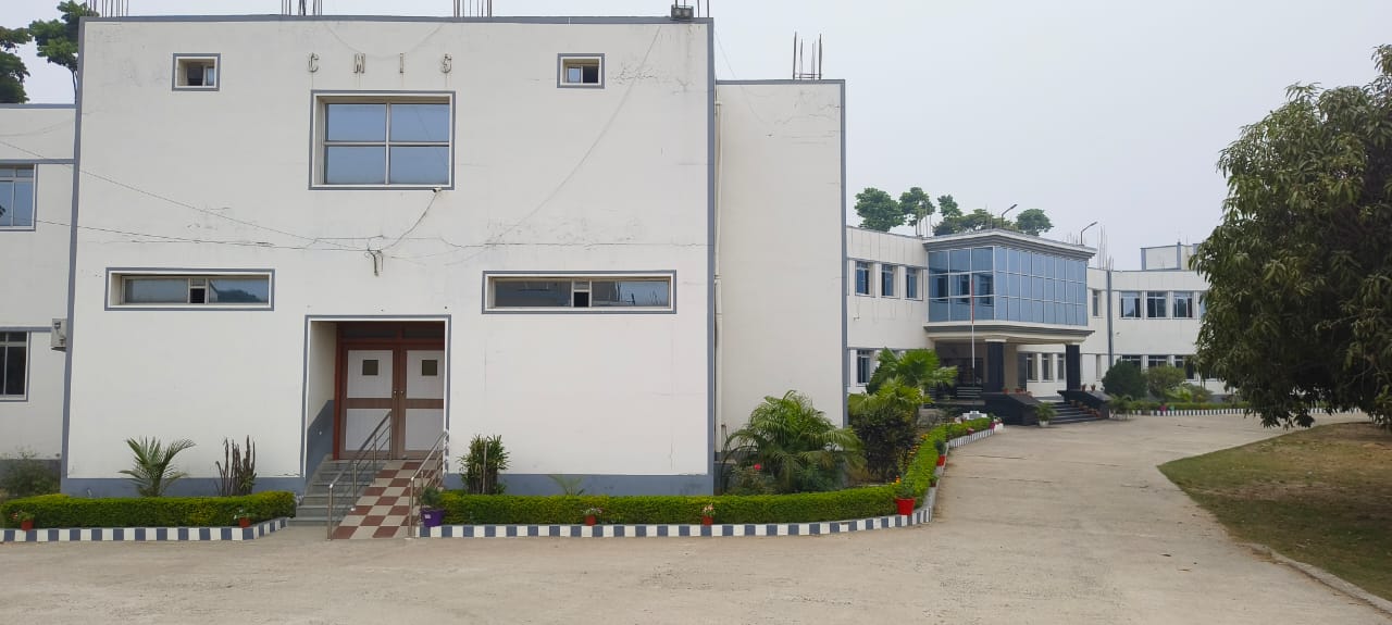 Creative Minds International School