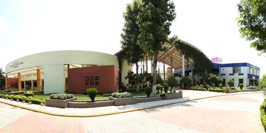 D. S. B. International Public School