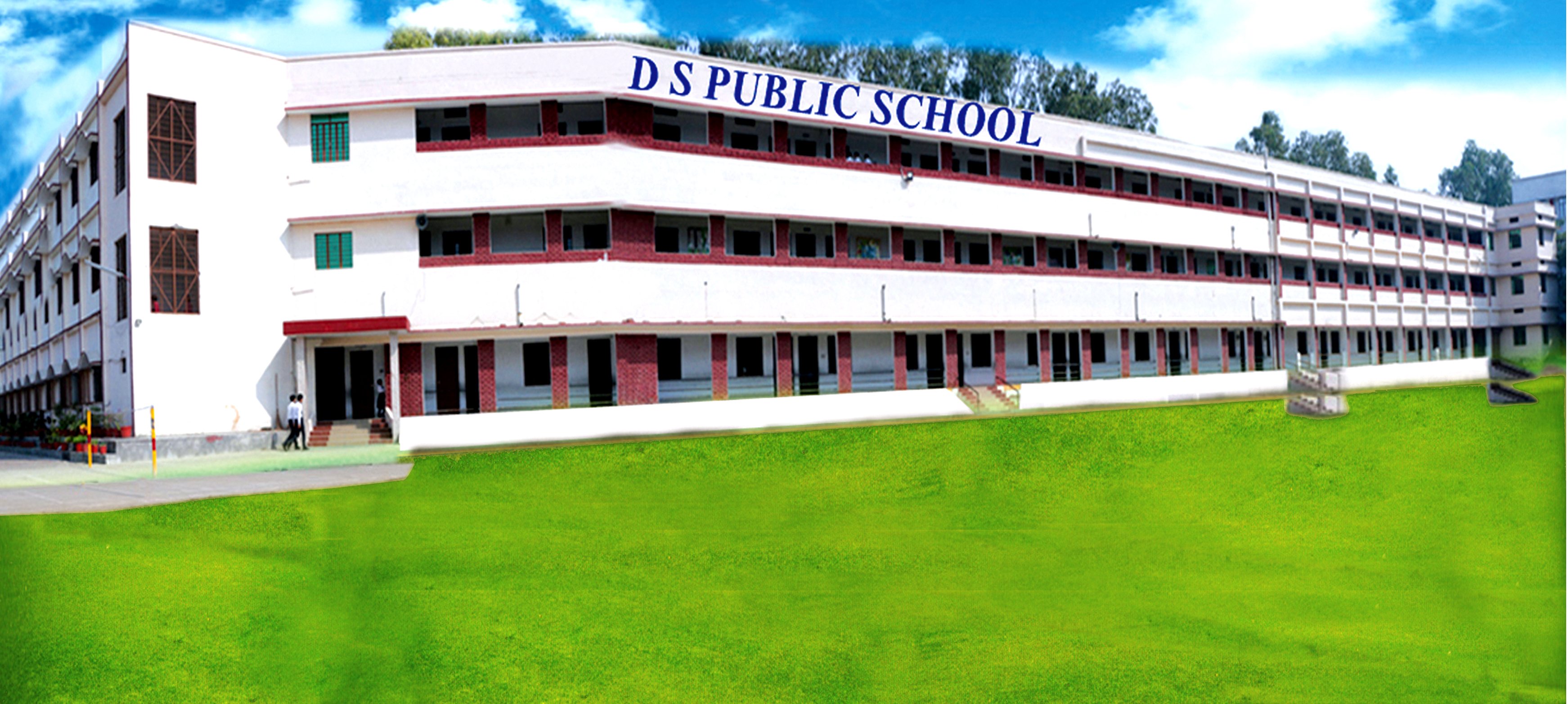 D. S. Public School