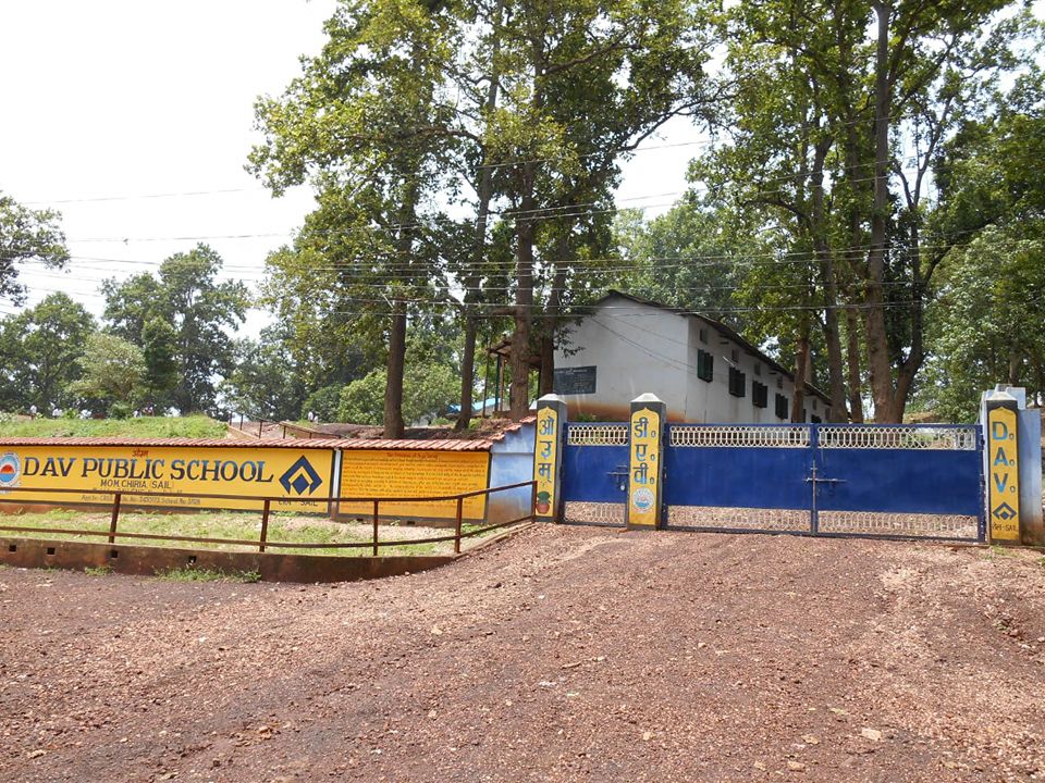 Dav Public School