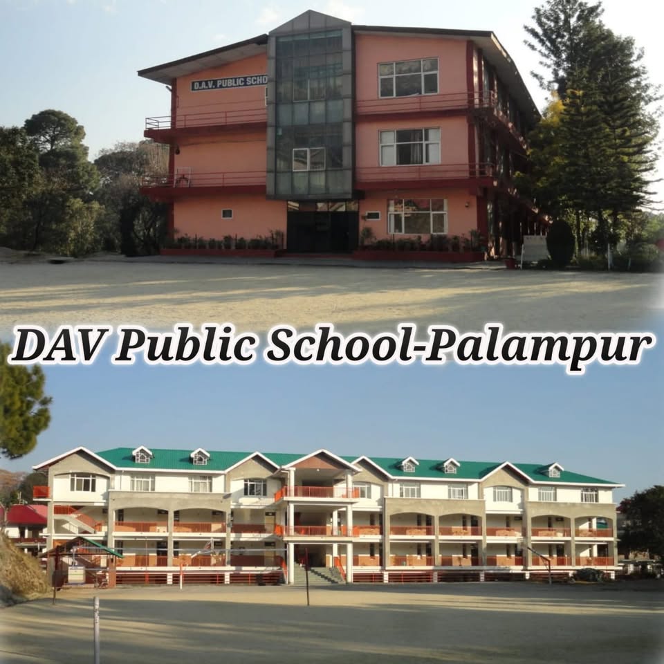 Dav Public School