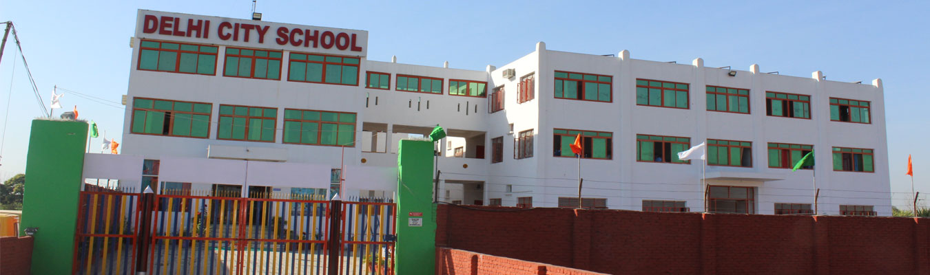 Delhi City School