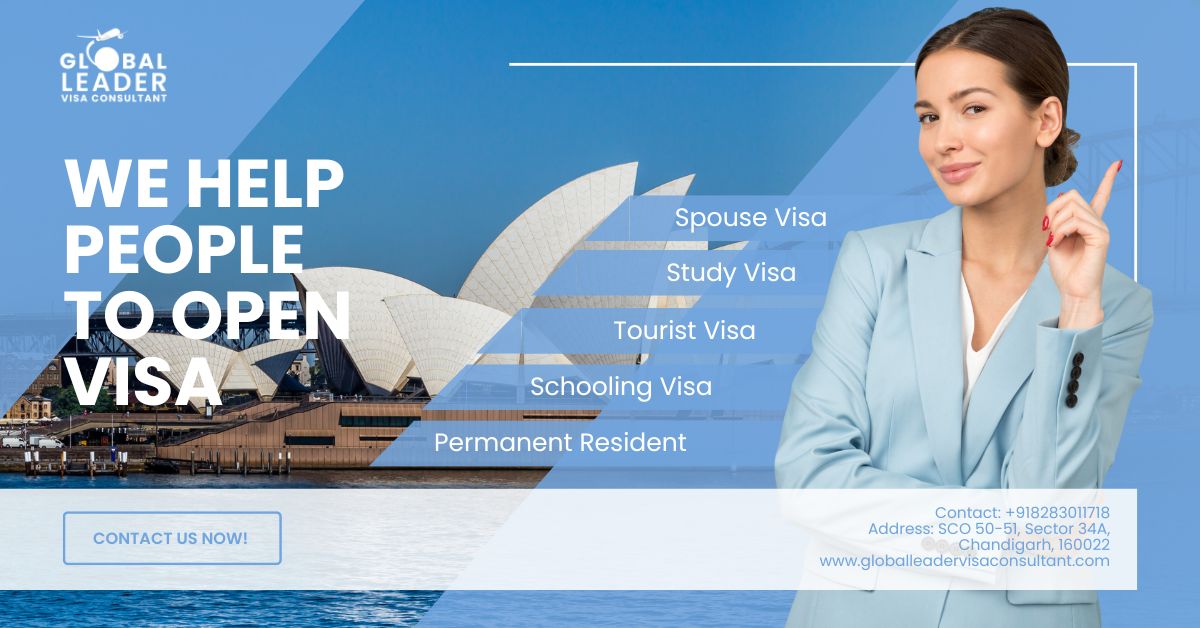 Global Leader Visa Consultant