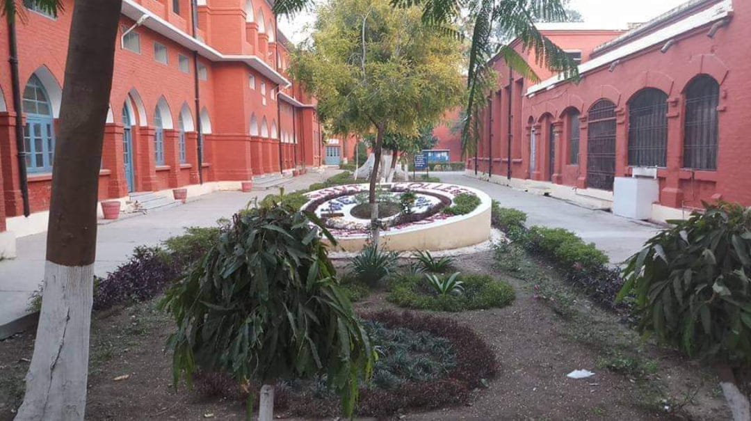 Government College