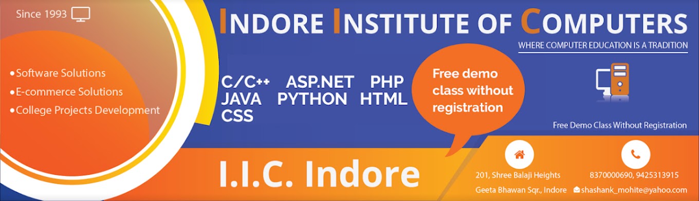 IIC Institute