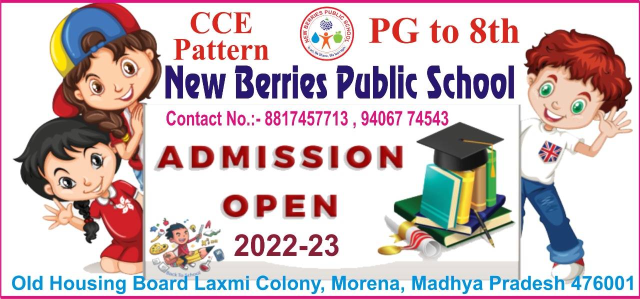 New Berries Public School