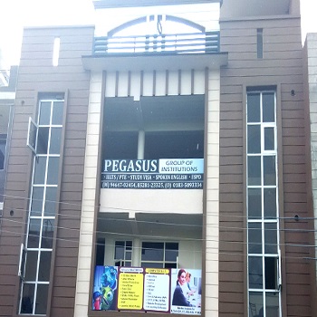 Pegasus Institute
