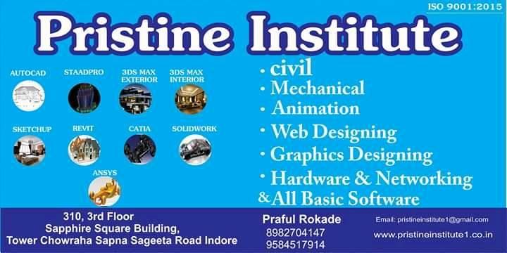 Pristine Institute