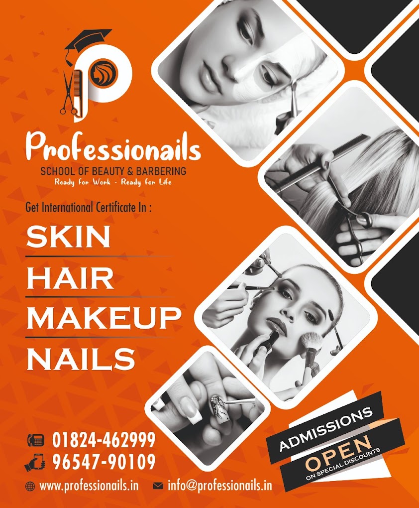 Professionails Academy