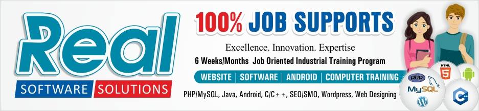 Real Software Solutions