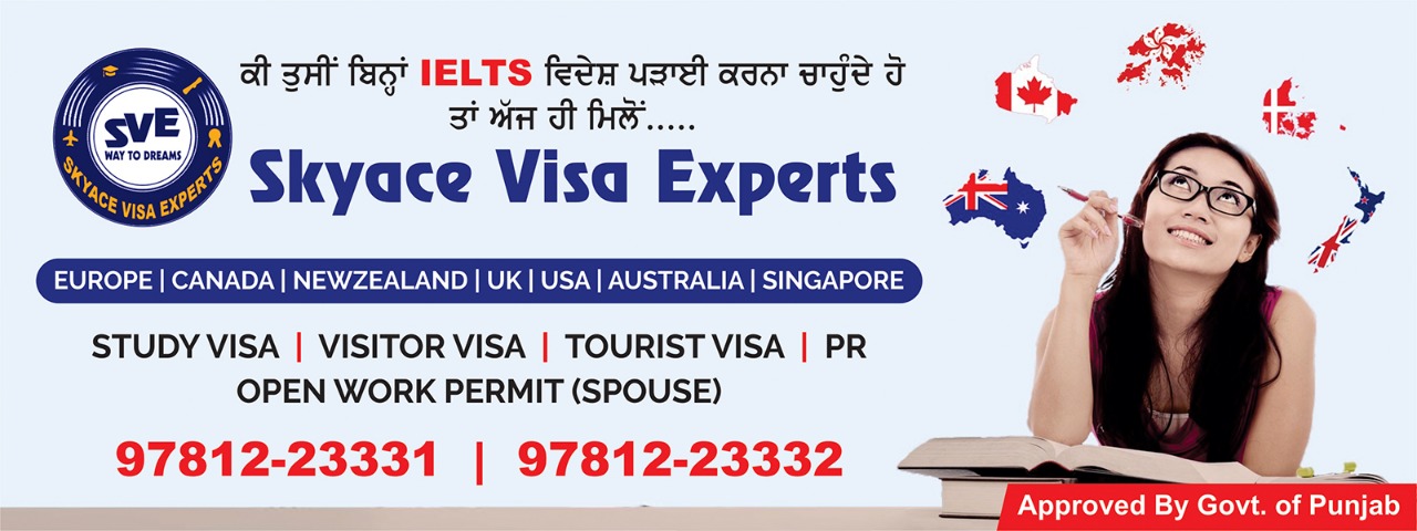 Skyace Visa Experts