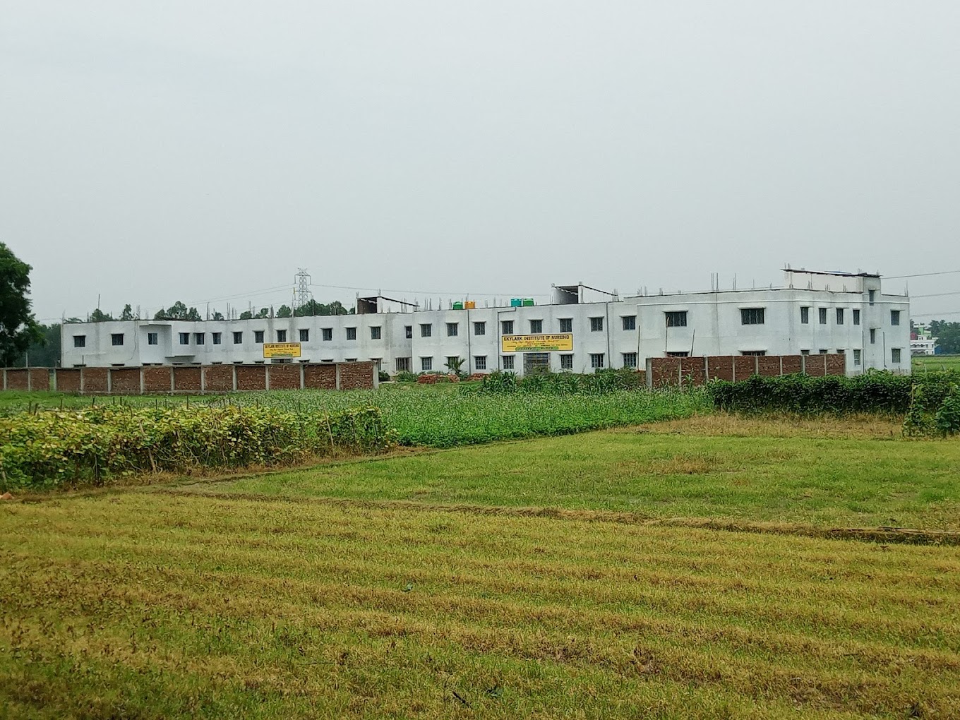 Skylark Institute of Nursing