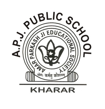 A P J Public School logo
