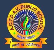 Actdav Public High School logo