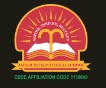 Amber International School logo