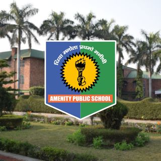 Amenity Public School logo