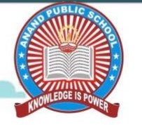 Anand Public School logo
