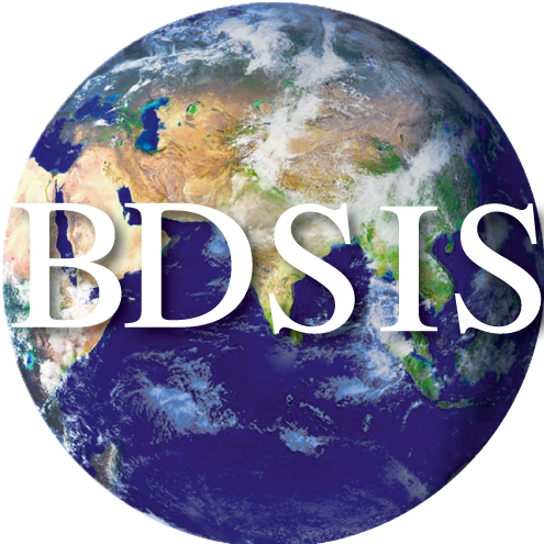 B.D. Somani International School logo