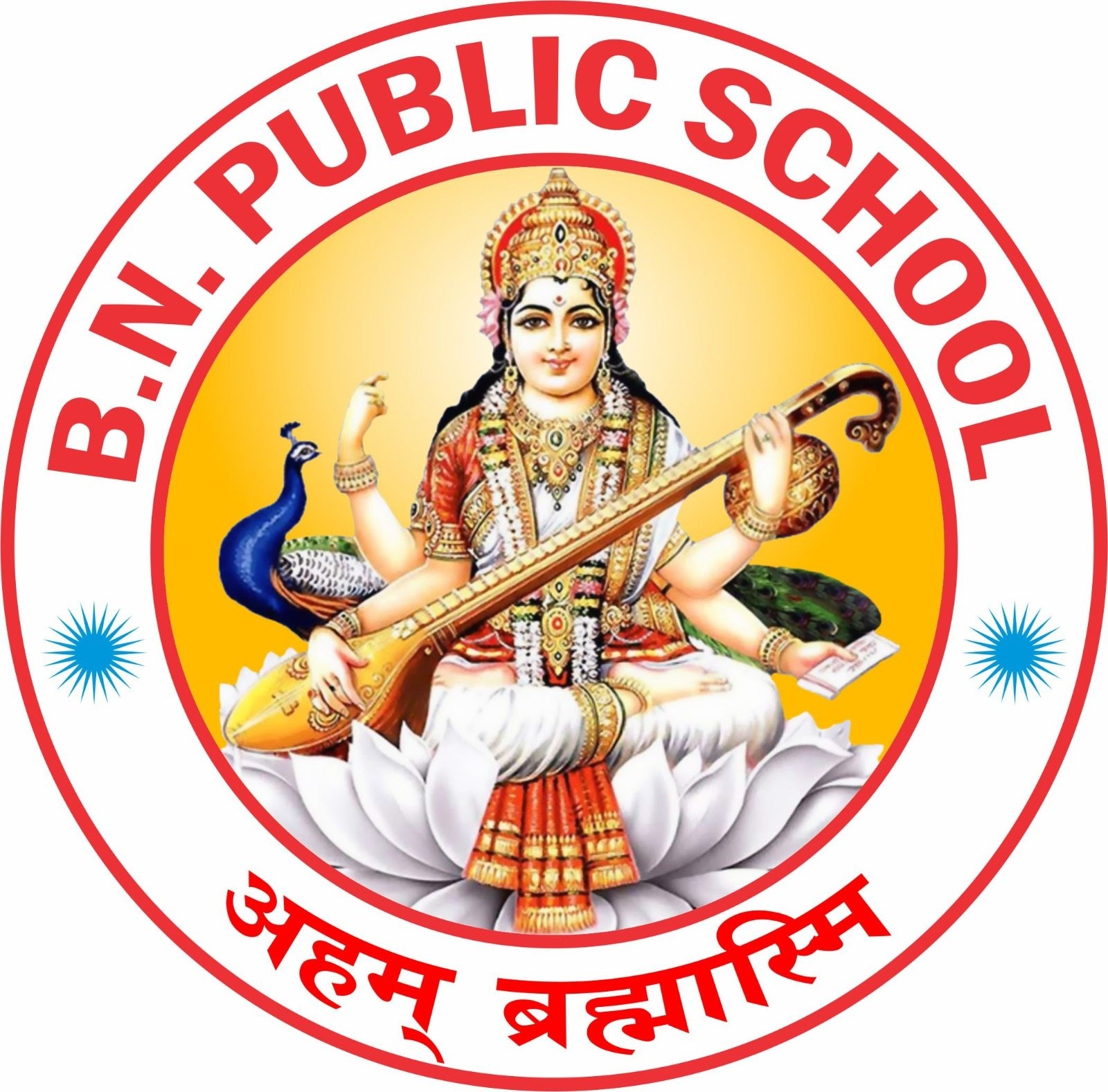 B. N. Public School logo