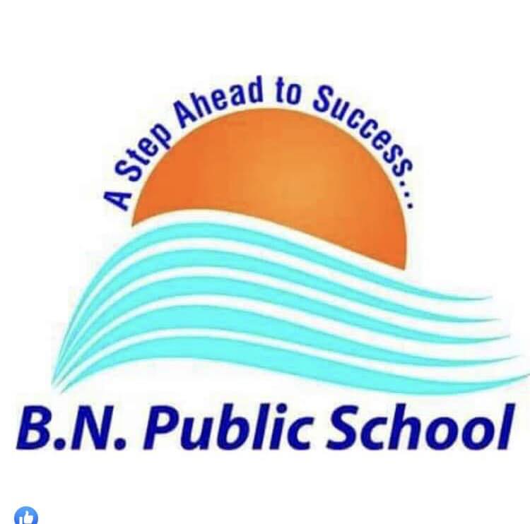 B.N. Public School, Daddoa logo