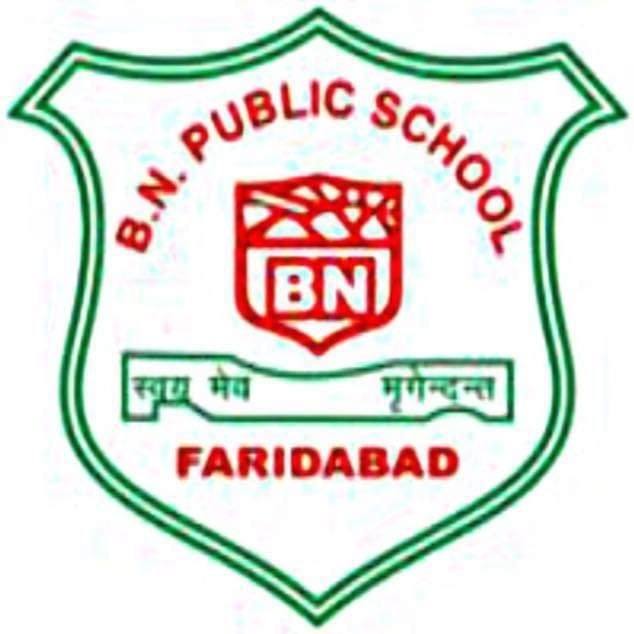 B.N. Public School logo
