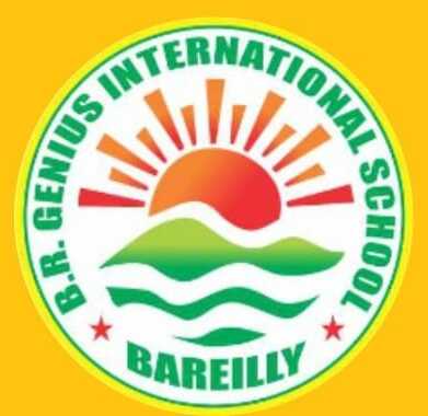 B. R. Genius International School logo