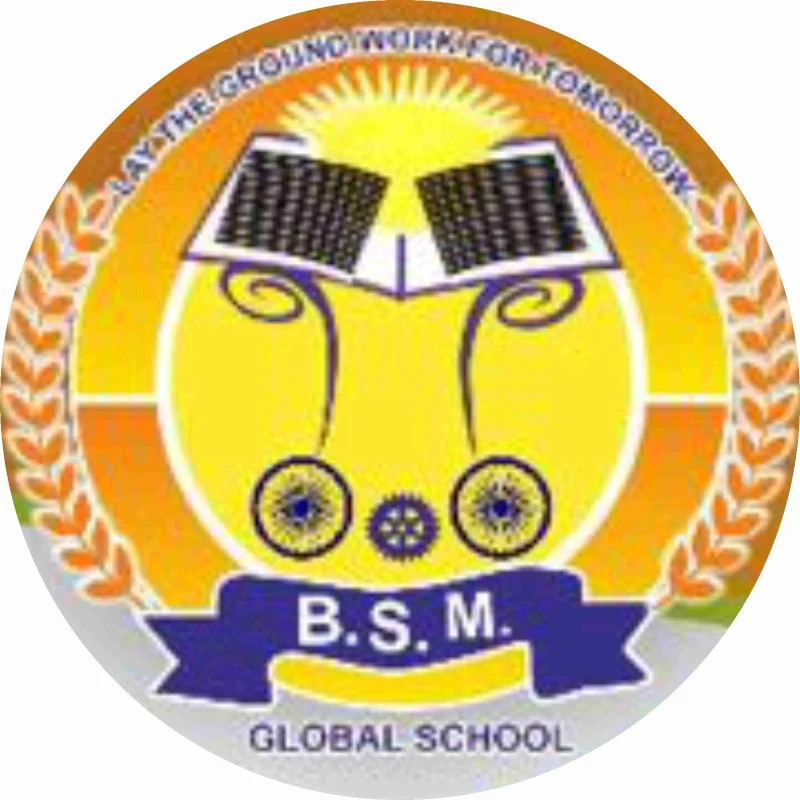 B. S. M Global School logo