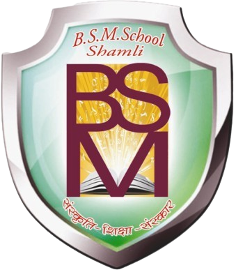 B. S. M. School logo