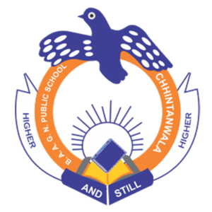 BABA AAPO AAP GURU NANAK PUBLIC SCHOOL logo
