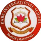 Baba International School logo