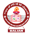Baba Shaheed Singh Public School logo
