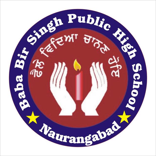 Baba Bir Singh Public High School logo