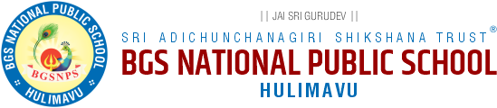 Bgs National Public School logo