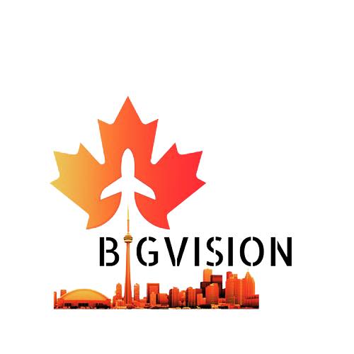 Bigvision Institue logo