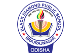 Black Diamond Public School logo