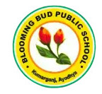 Blooming Bud Public School logo