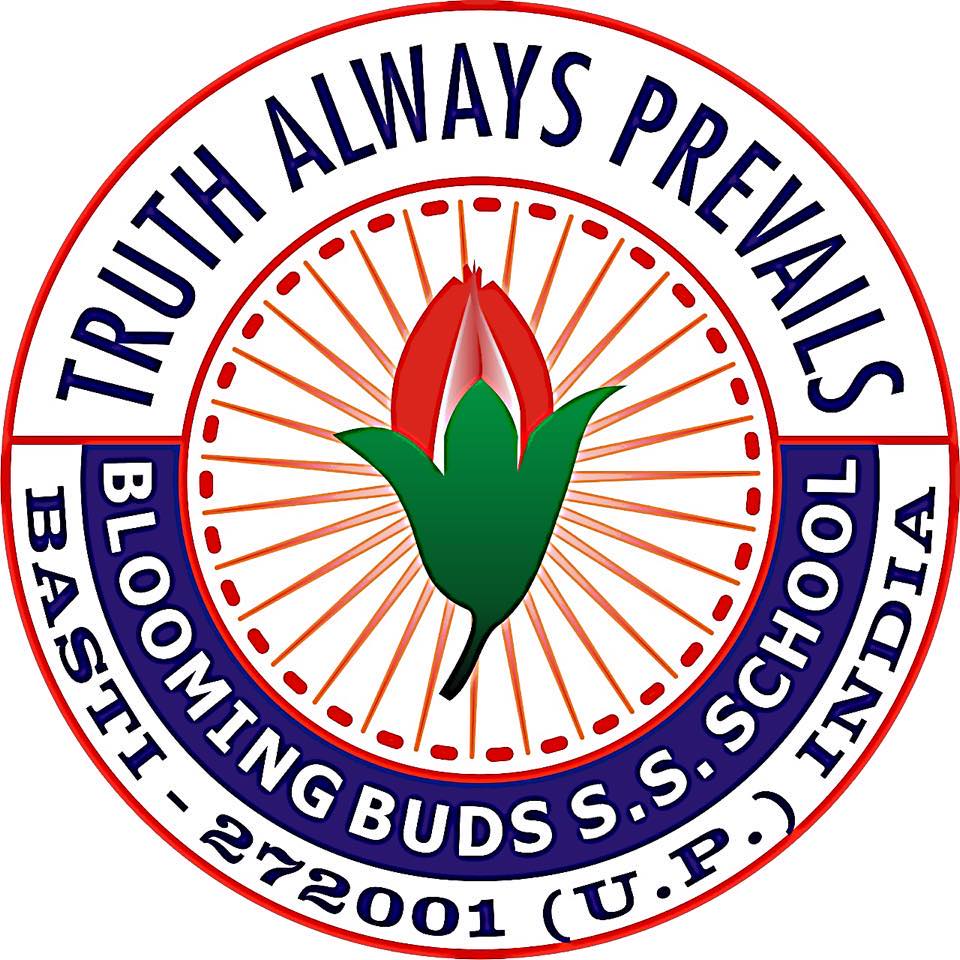 Blooming Buds Higher Secondary School logo