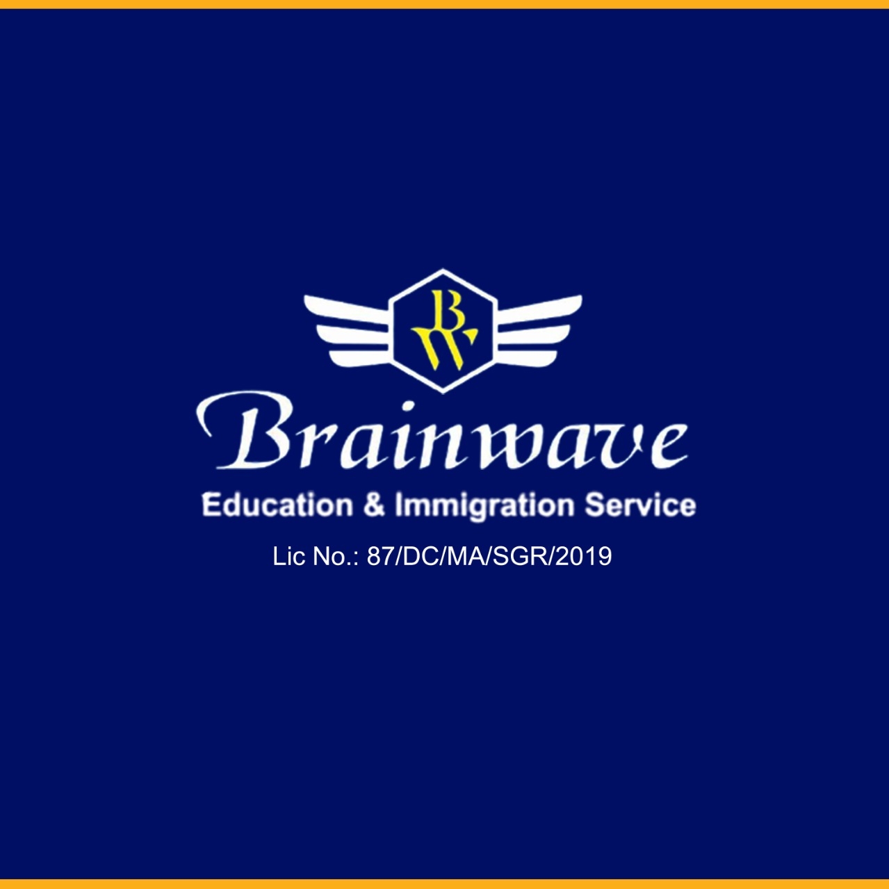 Brainwave Education & Immigration Services logo