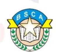 Bright Star Central Academy logo