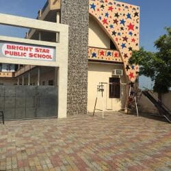 Bright Star Public School logo