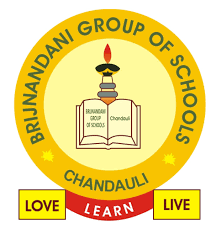 Brij Nandani Convent School logo