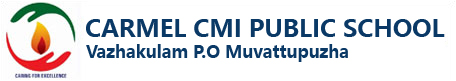 Carmel Cmi Public School logo