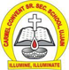 Carmel Convent Sr. Sec. School logo