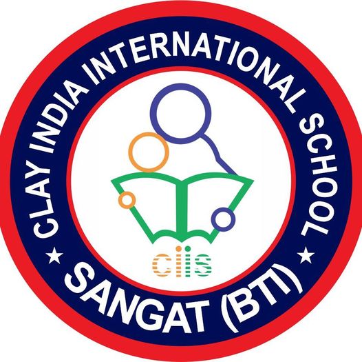 Clay India International School logo