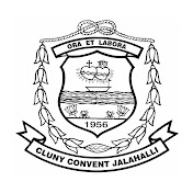 Cluny Convent High School logo